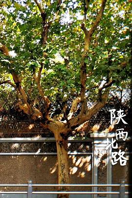 中国大陆纪录片《陕西北路》高清下载-八六三纪录片资源网