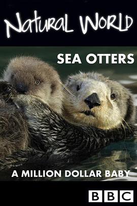 英国纪录片《自然世界：海獭的百万宝宝 Sea Otters: A Million Dollar Baby》高清下载-八六三纪录片资源网