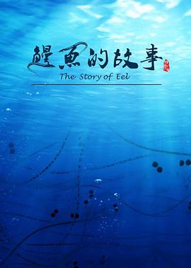 中国大陆纪录片《鳗鱼的故事》高清下载-八六三纪录片资源网