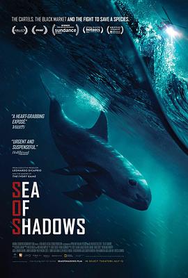 奥地利纪录片《暗海 Sea of Shadows》高清下载-八六三纪录片资源网