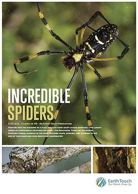 英国纪录片《蜘蛛零距离 Incredible Spiders》高清下载-八六三纪录片资源网