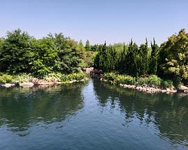 不为人知的迪士尼乐园 Undiscovered Walt Disney World的海报