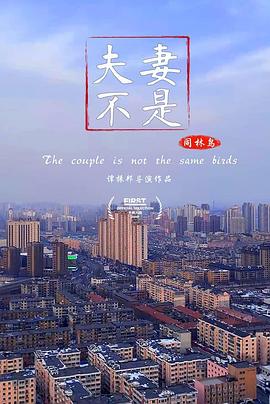夫妻不是同林鸟的海报