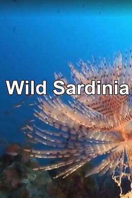 西班牙纪录片《野性撒丁岛 Wild Sardinia》高清下载-八六三纪录片资源网