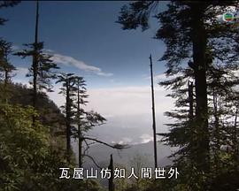 美国纪录片《马文与中国大熊猫 Panda Adventure with Nigel Marven》高清下载-八六三纪录片资源网