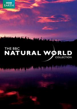 自然世界:大熊猫缔造者 The Natural World: Panda Maker的海报