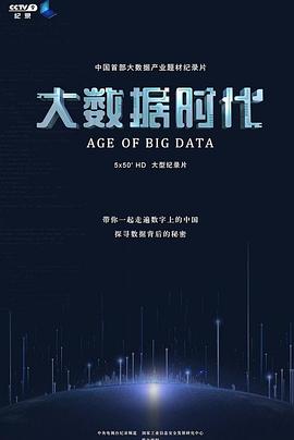 中国大陆纪录片《大数据时代》高清下载-八六三纪录片资源网