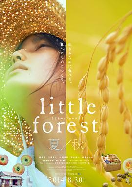 日本纪录片《小森林 夏秋篇 リトル・フォレスト 夏・秋》高清下载-八六三纪录片资源网