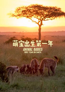 英国纪录片《萌宝出生第一年 Animal Babies: First Year on Earth》高清下载-八六三纪录片资源网