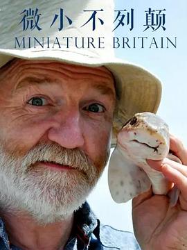 英国纪录片《英国的微小生命 Miniature Britain》高清下载-八六三纪录片资源网