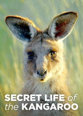 加拿大纪录片《袋鼠的秘密生活 第一季 Secret Life of the Kangaroo Season 1》高清下载-八六三纪录片资源网