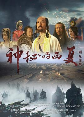 中国大陆纪录片《神秘的西夏》高清下载-八六三纪录片资源网
