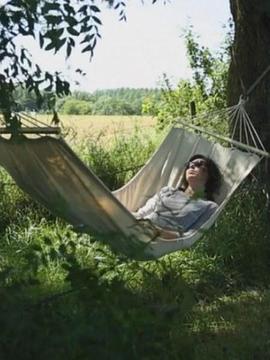 法国纪录片《午睡的艺术 The Art of Napping》高清下载-八六三纪录片资源网