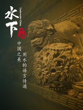 中国大陆纪录片《水下中国》高清下载-八六三纪录片资源网