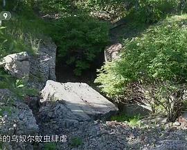 中国大陆纪录片《日本关东军要塞》高清下载-八六三纪录片资源网