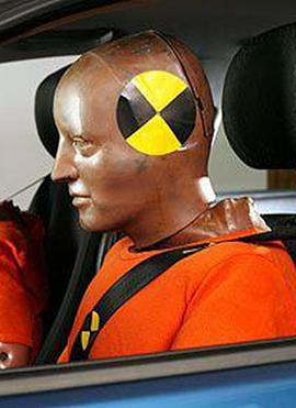地平线系列:如何在车祸中生存 Horizon: Surviving a Car Crash的海报