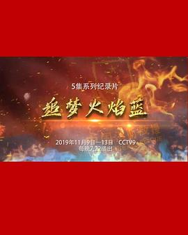 中国大陆纪录片《追梦火焰蓝》高清下载-八六三纪录片资源网