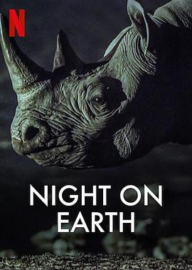 地球的夜晚 Night on Earth的海报