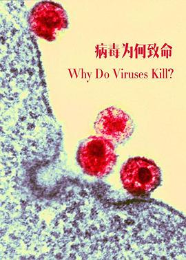 病毒为何致命 Why Do Viruses Kill的海报