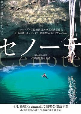 日本纪录片《沉洞泉 セノーテ》高清下载-八六三纪录片资源网