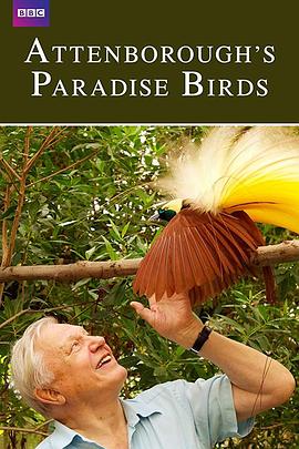 英国纪录片《爱登堡的极乐鸟世界 Attenborough's Paradise Birds》高清下载-八六三纪录片资源网