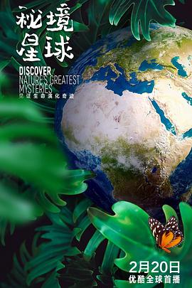 美国，中国大陆，法国，新西兰纪录片《秘境星球 Mysterious Planet》高清下载-八六三纪录片资源网