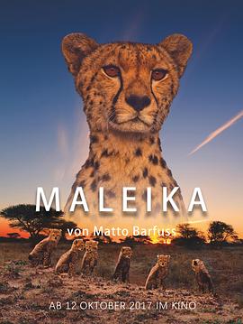 德国纪录片《非洲：动物乐园 Maleika》高清下载-八六三纪录片资源网