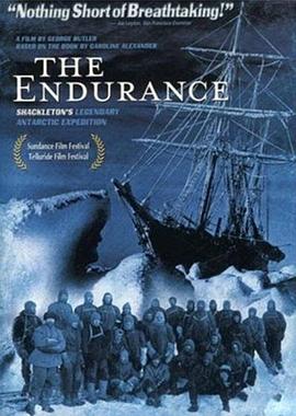 美国，英国，德国，瑞典纪录片《坚忍号：沙克尔顿的传奇南极远征 The Endurance: Shackleton's Legendary Antarctic Expedition》高清下载-八六三纪录片资源网