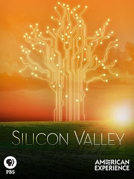 美国纪录片《硅谷 Silicon Valley》高清下载-八六三纪录片资源网