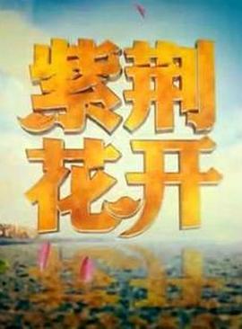 中国大陆纪录片《紫荆花开》高清下载-八六三纪录片资源网