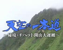 登天之路:西藏开山大运输 天空の一本道~秘境・チベット開山大運搬~的海报