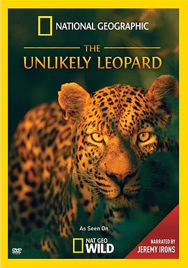 美国纪录片《花豹传奇 The Unlikely Leopard》高清下载-八六三纪录片资源网