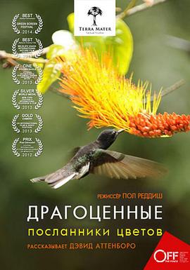 蜂鸟:宝石般的信使 Hummingbirds Jewelled Messengers的海报