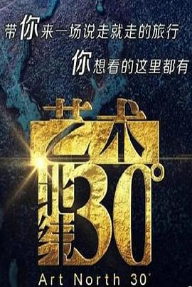 中国大陆纪录片《艺术：北纬30度》高清下载-八六三纪录片资源网