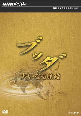 日本纪录片《寻根探源话佛教 Asia:Outer Space of the Heart》高清下载-八六三纪录片资源网