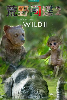 英国纪录片《荒野间谍 第二季 Spy in the Wild Season 2》高清下载-八六三纪录片资源网