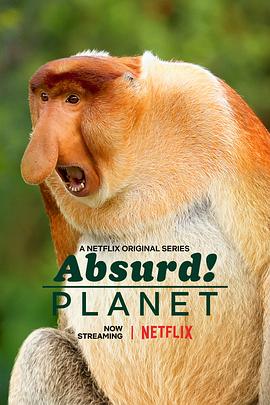 美国纪录片《怪诞星球 Absurd Planet》高清下载-八六三纪录片资源网