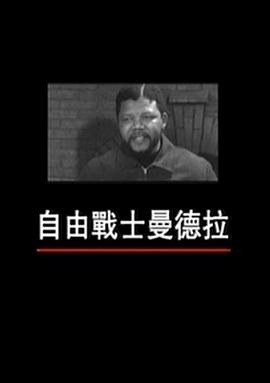 自由战士曼德拉 自由戰士曼德拉的海报