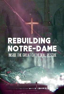 英国纪录片《古教堂大救援：争分夺秒拯救巴黎圣母院 Rebuilding Notre Dame: Inside the Great Cathedral Rescue》高清下载-八六三纪录片资源网