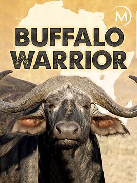 国家地理:水牛战士 National Geographic: Buffalo Warrior的海报