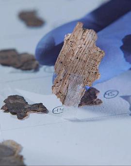 美国纪录片《死海古卷调查 Dead Sea Scroll Detectives》高清下载-八六三纪录片资源网