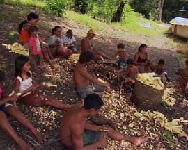 美国纪录片《尚米榭库斯托海洋探险 Jean-Michel Cousteau: Ocean Adventures》高清下载-八六三纪录片资源网