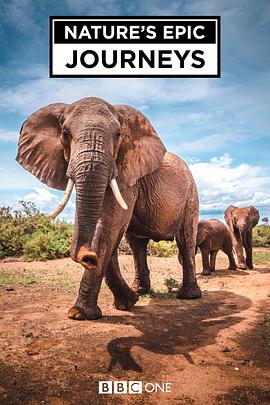 英国纪录片《自然史诗之旅 Nature's Epic Journeys》高清下载-八六三纪录片资源网