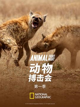 英国纪录片《动物搏击会 第一季 Animal Fight Night Season 1》高清下载-八六三纪录片资源网