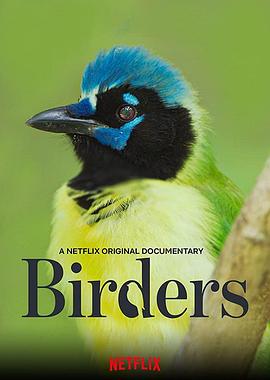 美国，墨西哥纪录片《观鸟者 Birders》高清下载-八六三纪录片资源网