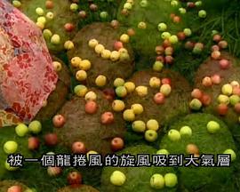 气象大观 Wild Weather的海报