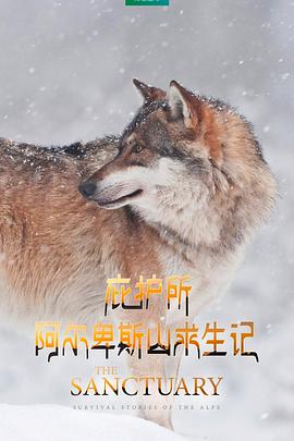 法国纪录片《庇护所：阿尔卑斯山求生记 Le plus beau pays du monde 3 : Le sanctuaire》高清下载-八六三纪录片资源网