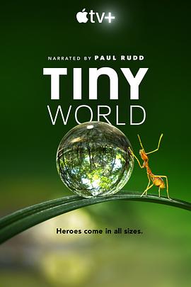 美国纪录片《小小世界 第一季 Tiny World Season 1》高清下载-八六三纪录片资源网
