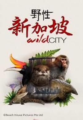 中国香港纪录片《野性新加坡 Wild City》高清下载-八六三纪录片资源网