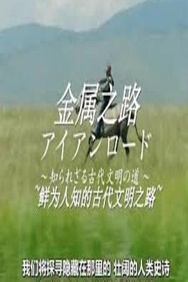 日本纪录片《金属之路-鲜为人知的古代文明之路》高清下载-八六三纪录片资源网